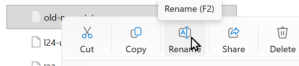 File rename dialog in Windows Explorer showing the Rename option in the context menu