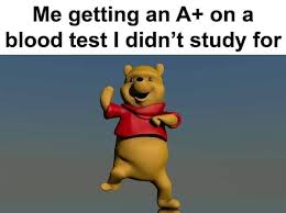 Meme with triumphant Winnie the Pooh: 'Me getting an A+ on a blood test I didn't study for'