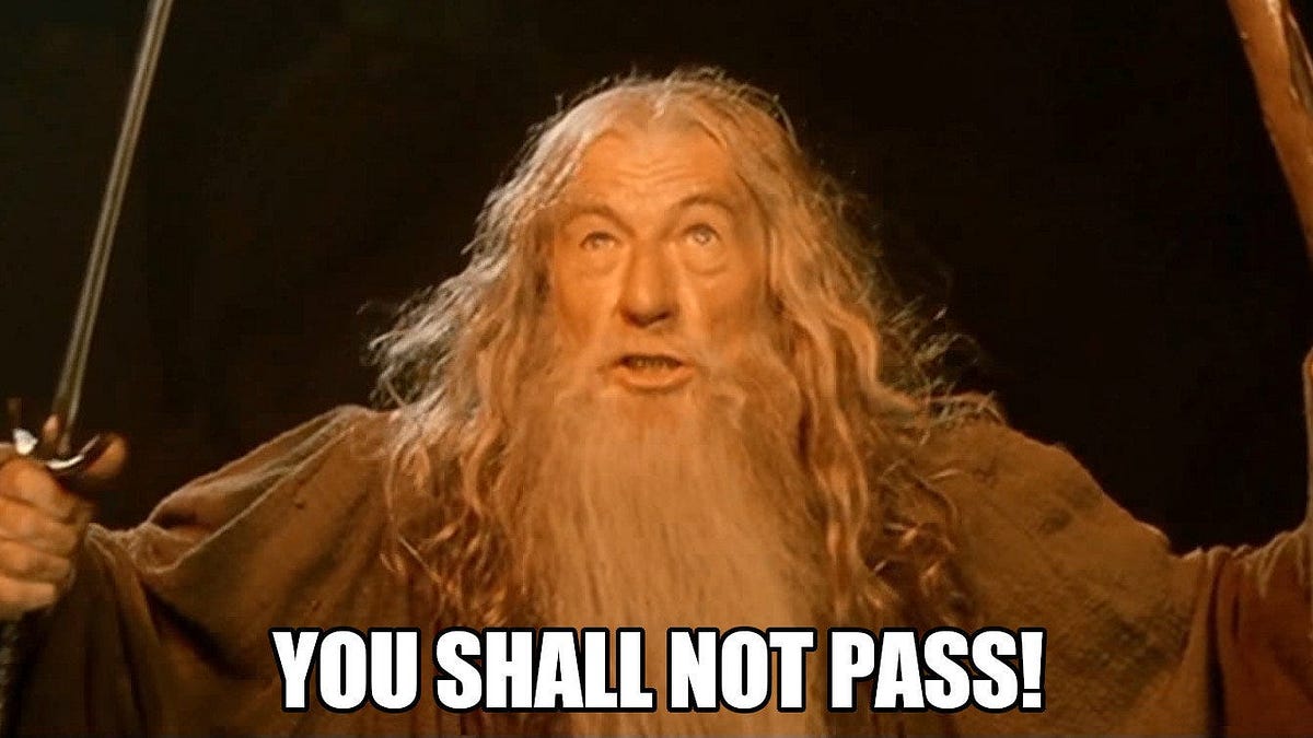 Gandalf, fiercely blocking the way, with caption: 'YOU SHALL NOT PASS!'