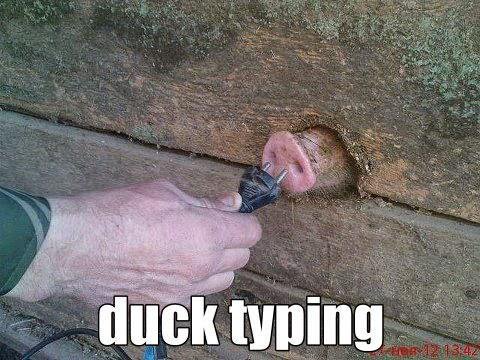 Meme captioned 'duck typing' in which a person is connecting a plug to a pig's snout