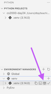 VSCode venv packages